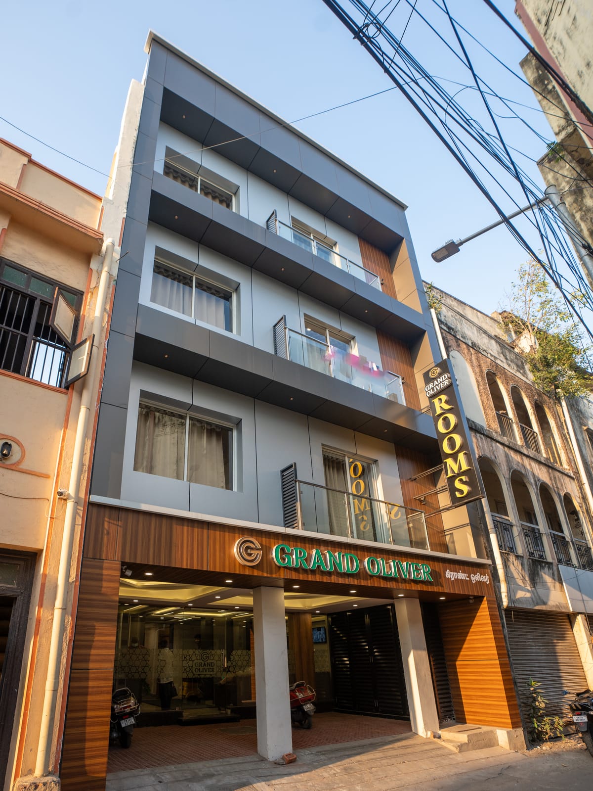 GRAND OLIVER — 2