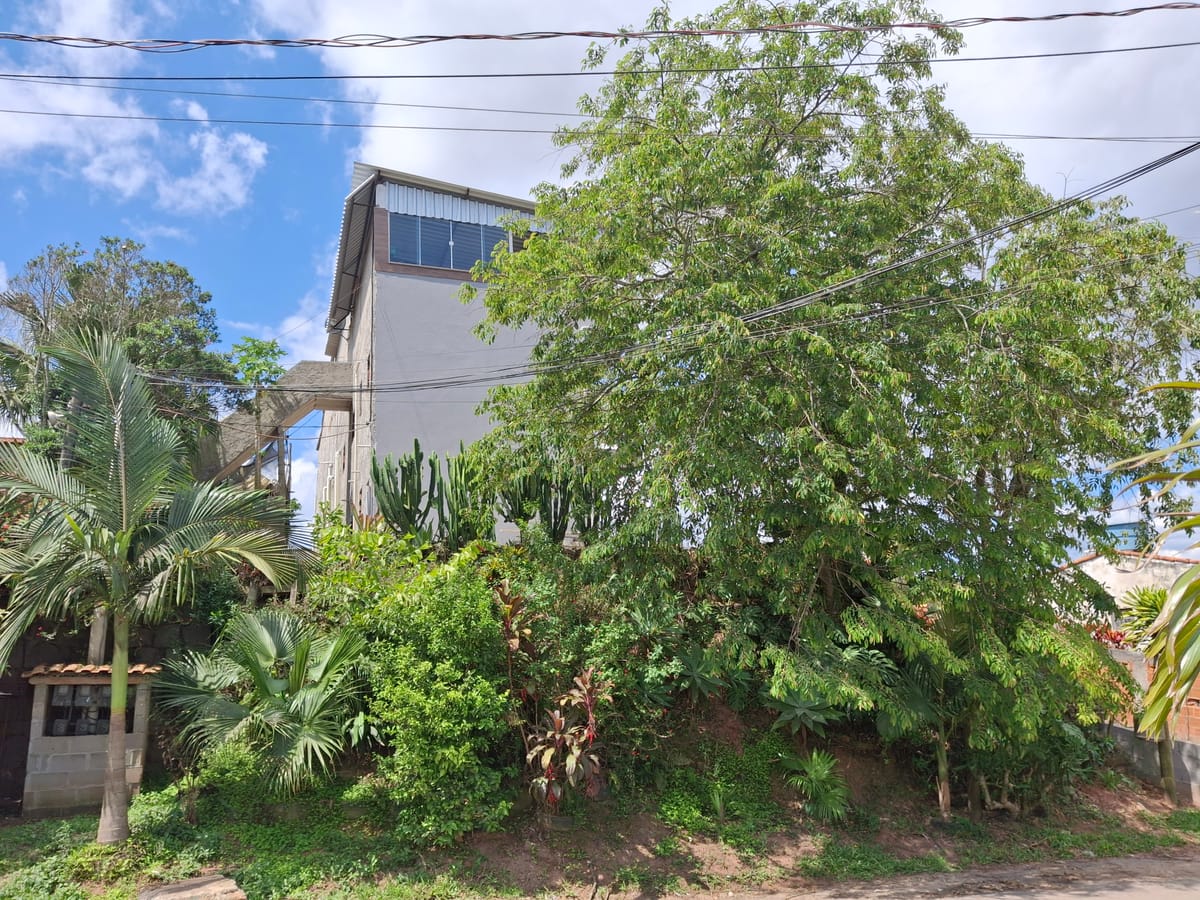 Casa de Luz - Lar na Serra — 2