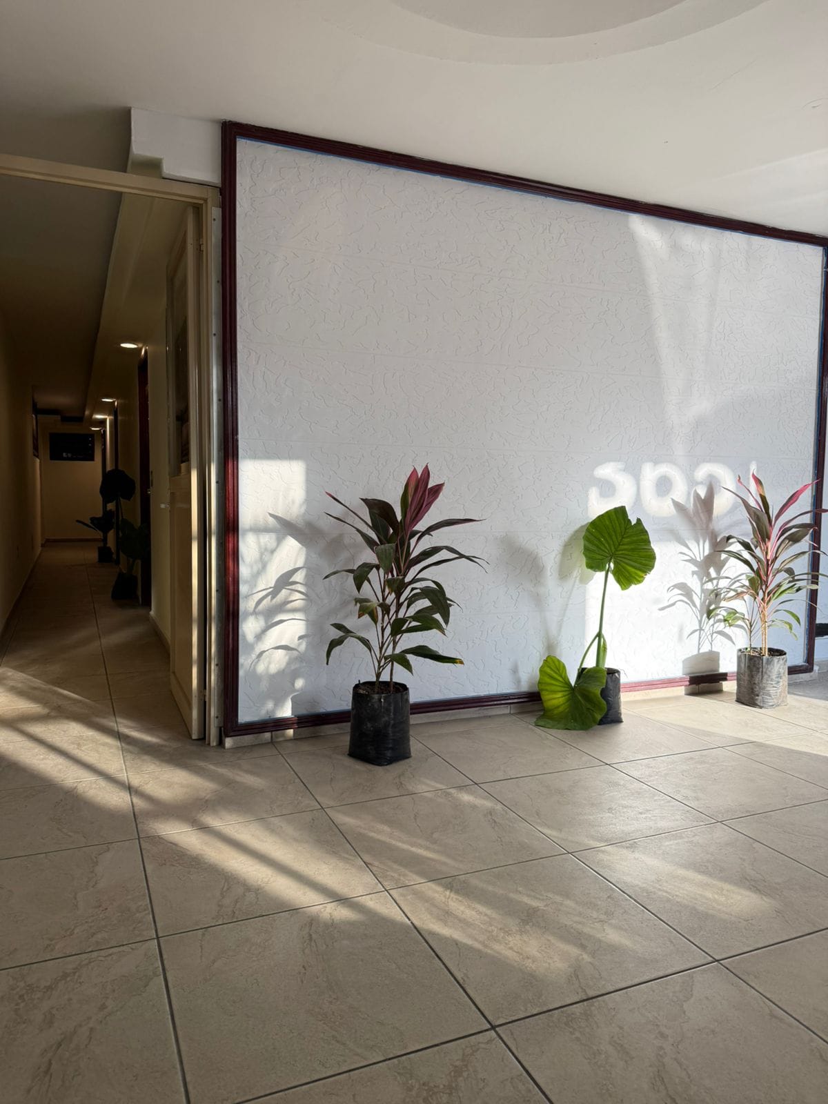 Casa Areka — 2